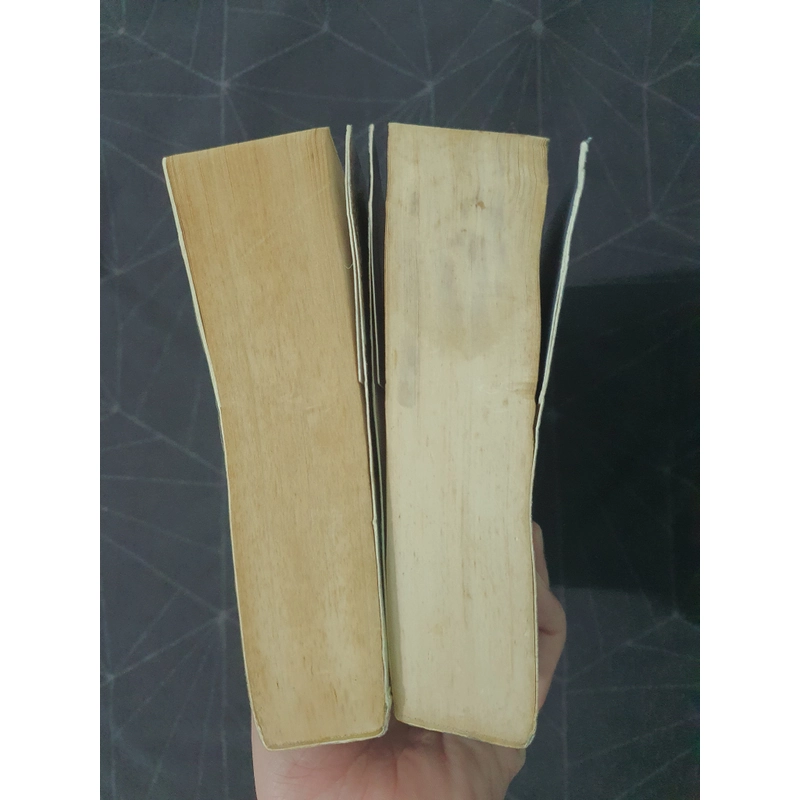 Combo "Lên cung trăng tìm tình yêu" - Hoa Thanh Thần 492904