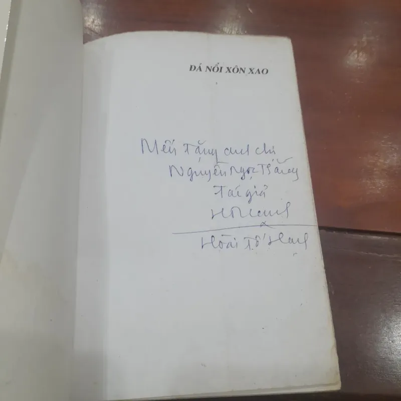 Hoài Tố Hạnh - ĐÁ NỔI XÔN XAO 754353