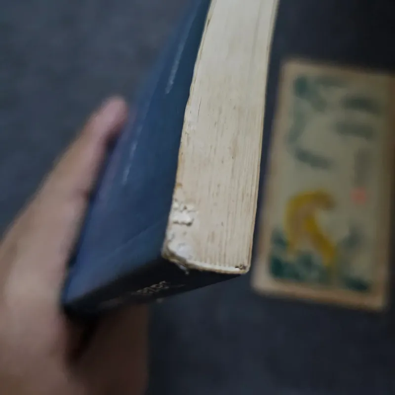 Thất lạc cõi người 733989