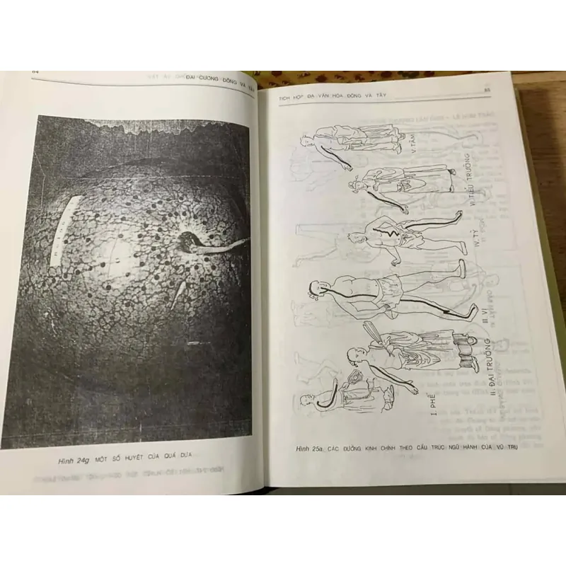 TÍCH HỢP VĂN HÓA ĐÔNG TÂY CHO MỘT CHIẾN LƯỢC GIÁO DỤC TƯƠNG LAI ( Xuất bản 1996 bìa cứng ) 683795