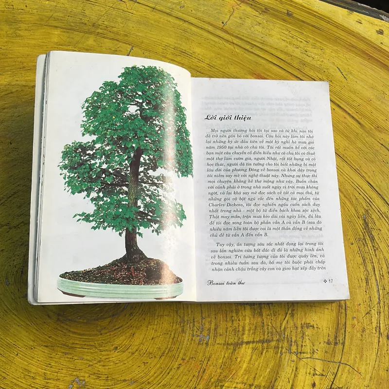 BONSAI TOÀN THƯ - HARRY TOMLINSON 735725