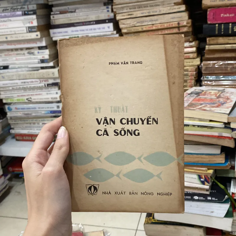 Kỹ Thuật Vận Chuyển Cá Sống♟️ 999516