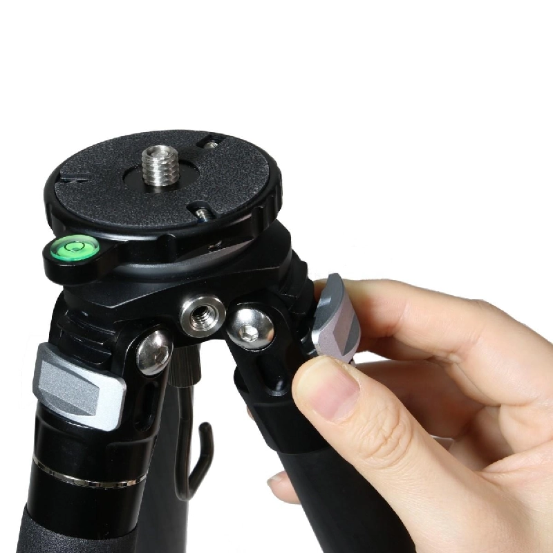 ＴＡ２８４ＣＬＥＪ - Hàng hiệu Authentic 879946