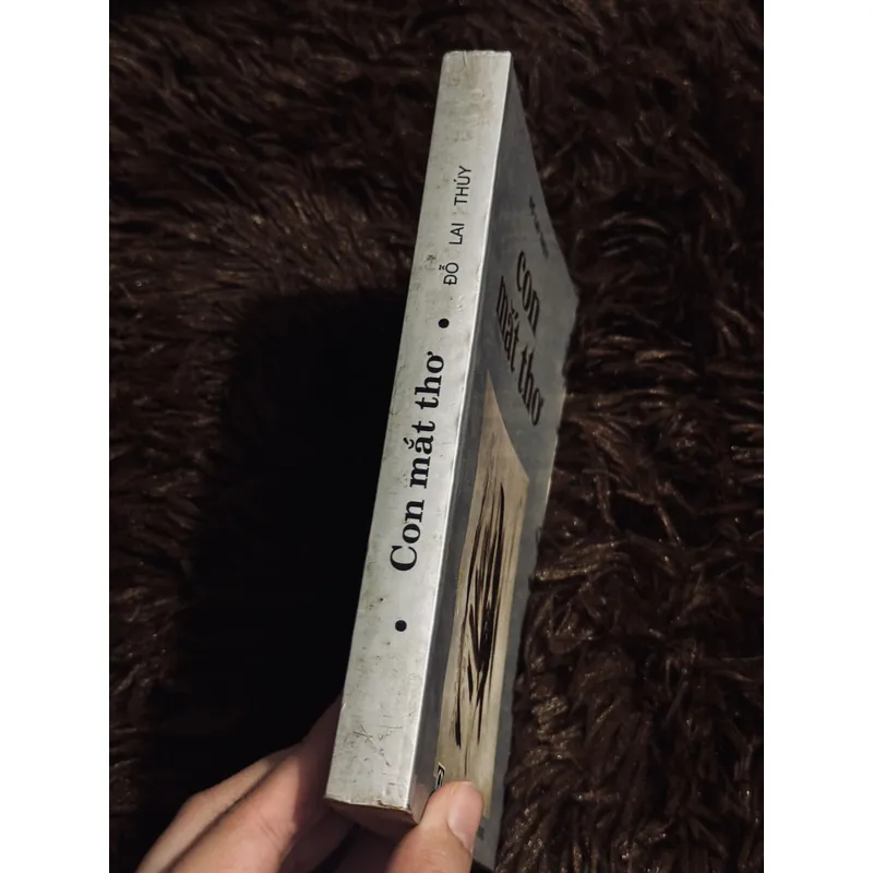 Con mắt thơ - Đỗ Lai Thuý 711336