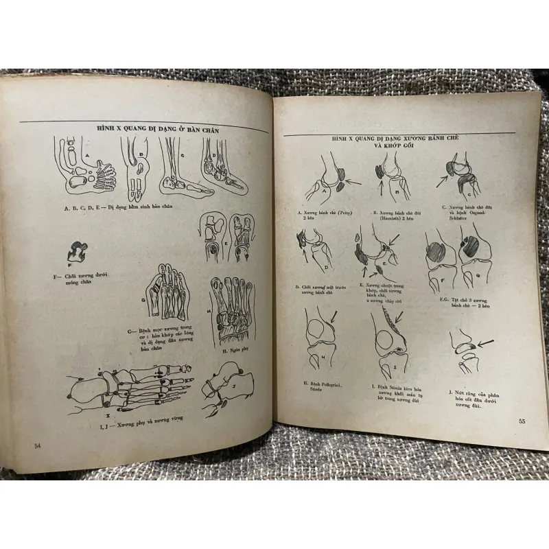 Nguyên tắc chấn thương chuyển hình- NGUYỄN VĂN QUANG  1009202