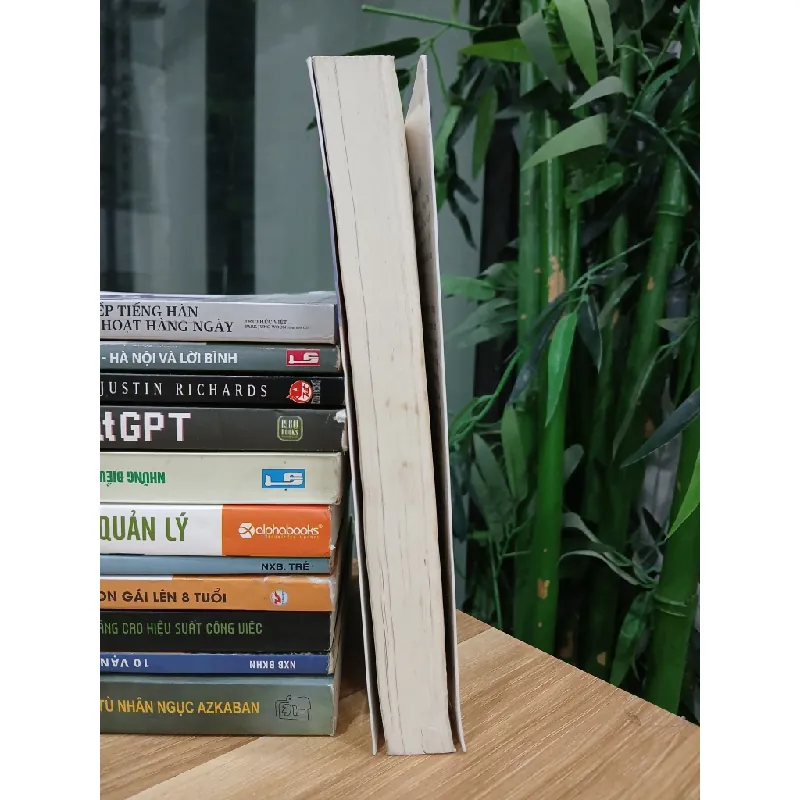 Cô gái văn chương và gã khờ bị trói buộc (Tập 3) – Nomura Mizuki 570857