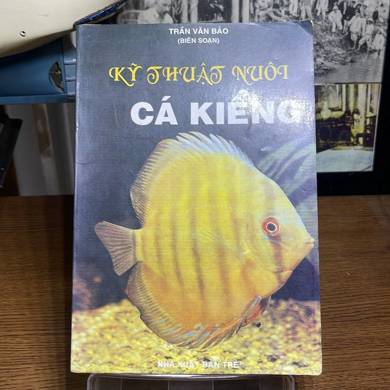 Kỹ thuật nuôi cá kiểng Trần Văn Bảo 507373