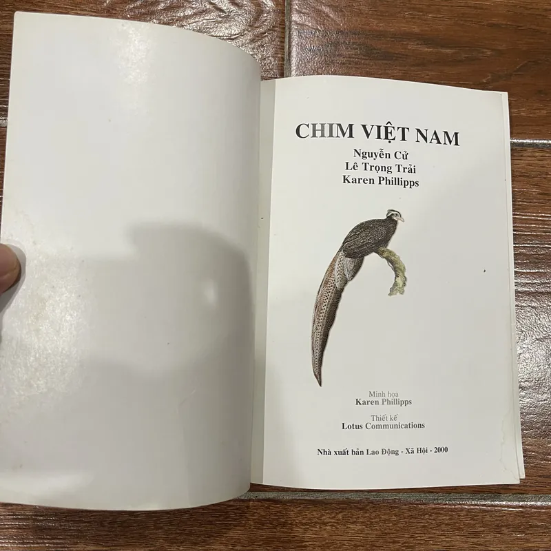 Chim Việt Nam - Cuốn sách hướng dẫn về các loài chim Việt Nam  (8) 716507