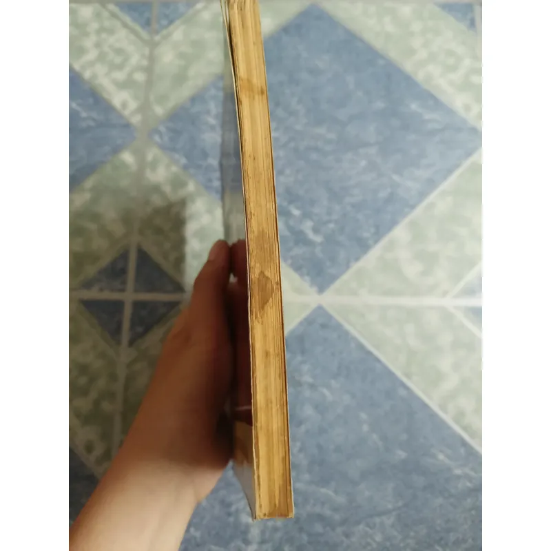 Mưa nguồn - Bùi Giáng 558618