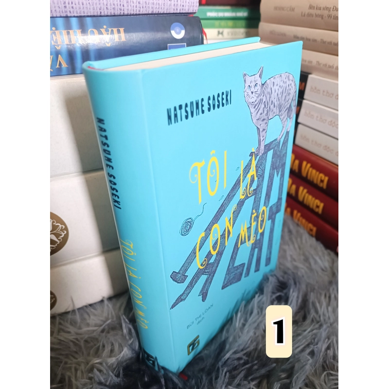 Tôi là con mèo (Natsume Soseki) 523490