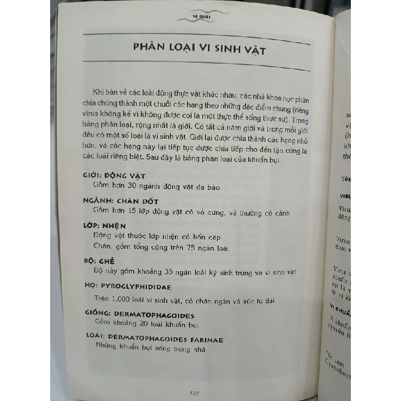 Vi Sinh Vật 549653