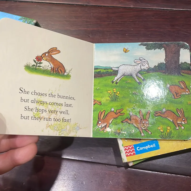 Ngoại văn tiếng anh trẻ em : AXEL SCHEFFLER POCKET LIABRARY  1028130