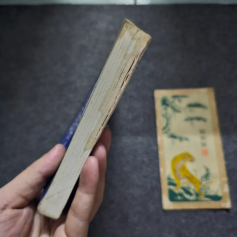 Tuổi trẻ đáng giá bao nhiêu 736624