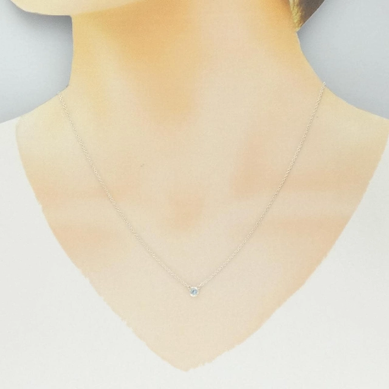 Dây chuyền Tiffany By The Yard - Hàng hiệu Chính hãng 841689