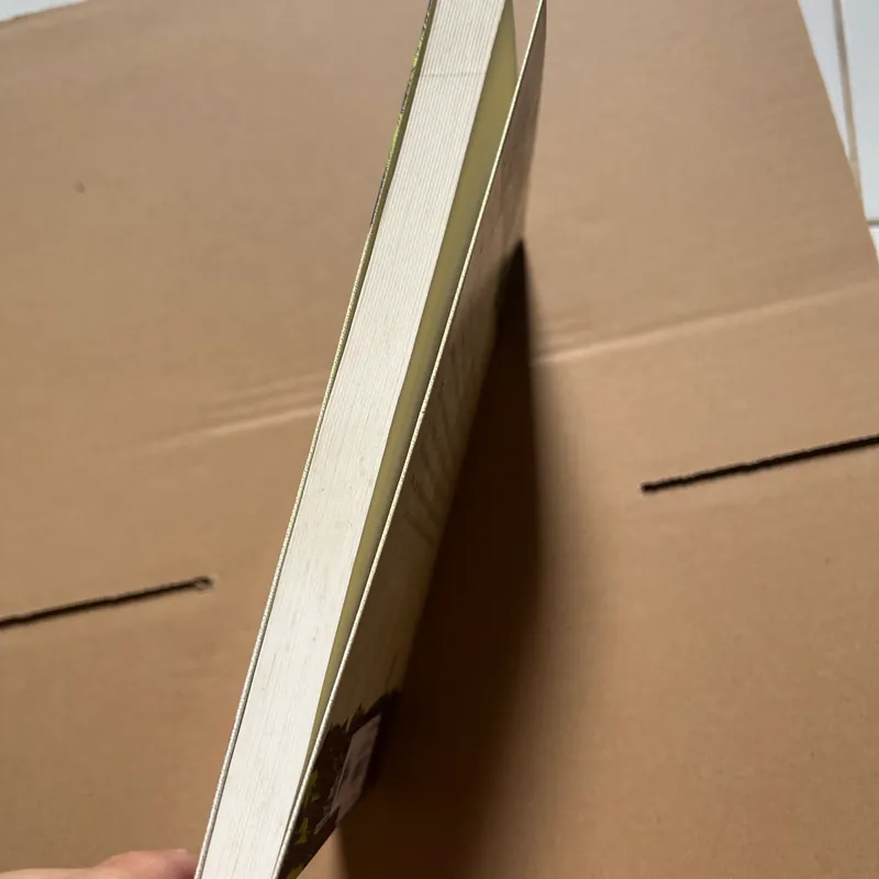 Nhật ký Đặng Thuỳ Trâm 603011