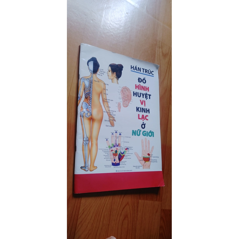 ĐỒ HÌNH HUYỆT VỊ KINH LẠC NỮ GIỚI  502868