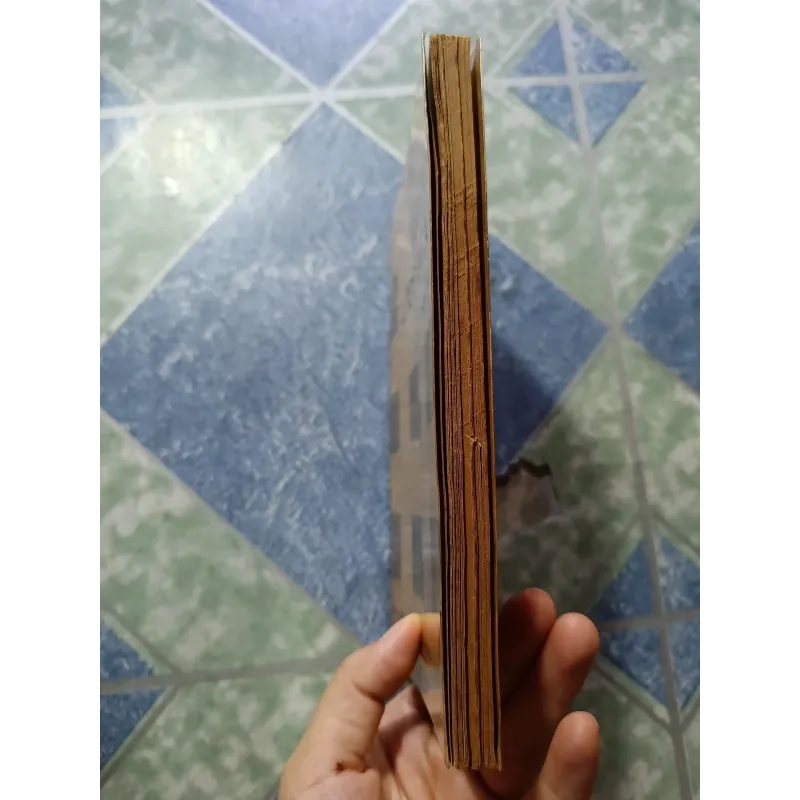 Chiếc lược ngà -  Nguyễn Quang Sáng 1000532