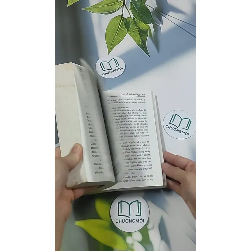 Con rể tỉnh trưởng - Phương Vỹ 695009