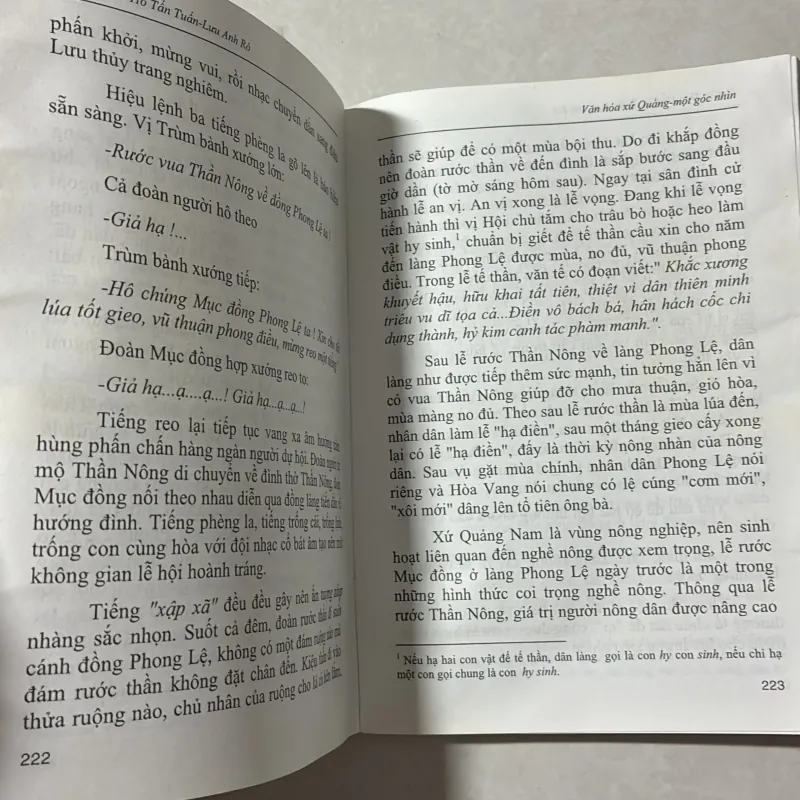 Văn hoá xứ Quảng một góc nhìn 766376