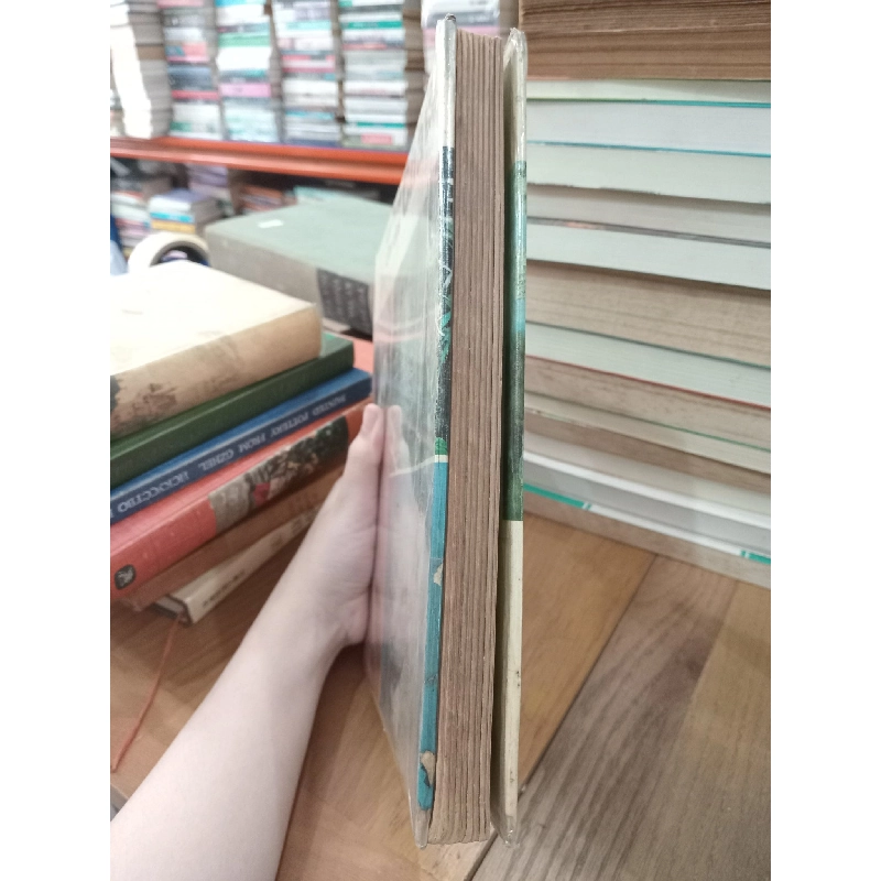 Le livre d'or des Chats 759549