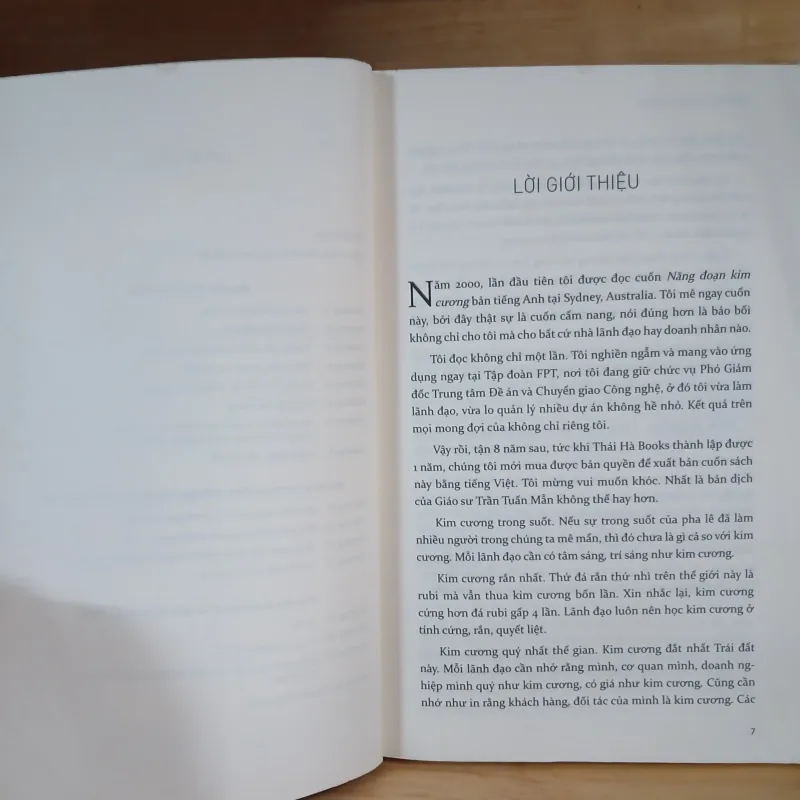 Năng Đoạn Kim Cương - Geshe Michael Roach 975008