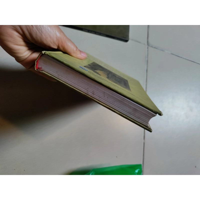 Mộ thuyền Đông sơn Việt Nam 478339