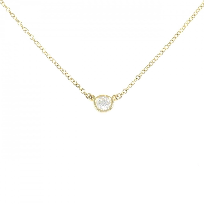 Dây chuyền Tiffany By The Yard - Hàng hiệu Authentic 841493