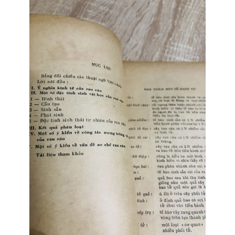 RAU CÂU, nxb 1969 956942