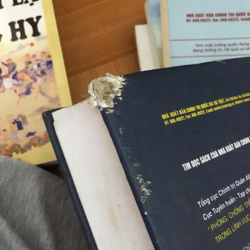 Nhận diện các xu hướng vận động và phát triển của văn học nghệ thuật Việt Nam hiện nay  732796