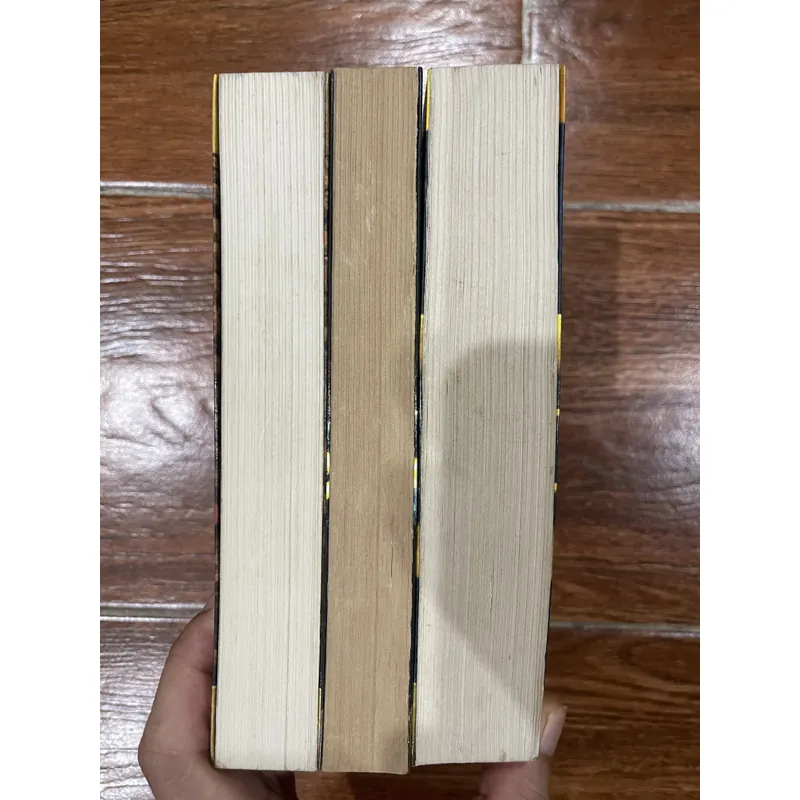 Pháp Thuật - Kinh Công - Y Thuật  Septimus Heap - Angie Sage - 3 tập (5) 621084