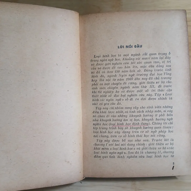 Loại Hình Các Ngôn Ngữ & Nghiên Cứu Về Chữ Nôm 736945