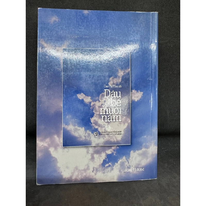 Dâu Bể Mười Năm - Cao Tự Thanh, mới 80% (ố nhẹ), 2004 SBM0202 Oreka-Blogmeo 68866