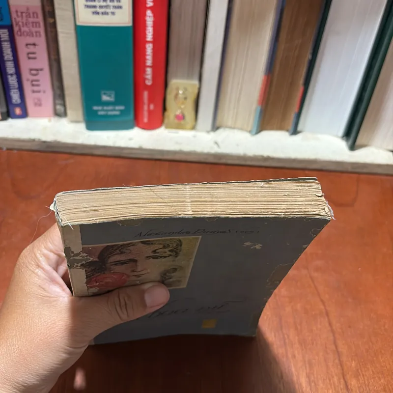 [Gáy Làm Lại] - II Tiểu thuyết: Trà Hoa Nữ - ALEXANDRE DUMAS (Con) - 1987 797164