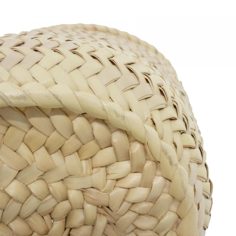 Túi Celine Teen Triomphe Panier 194002CGG 616516