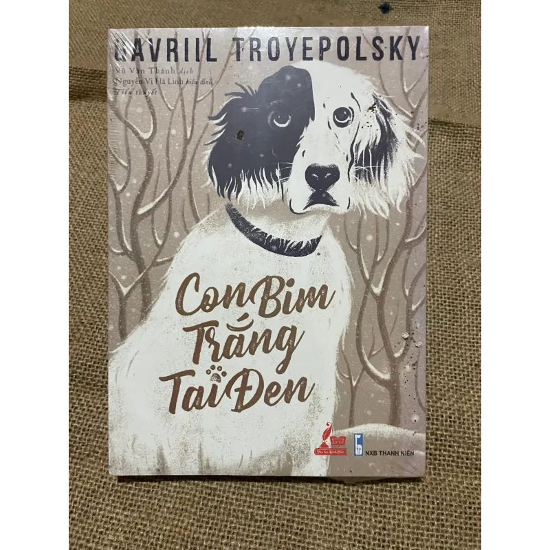 Con Bim trắng tai đen (tiếng Nga: Белый Бим Чёрное ухо) 570306