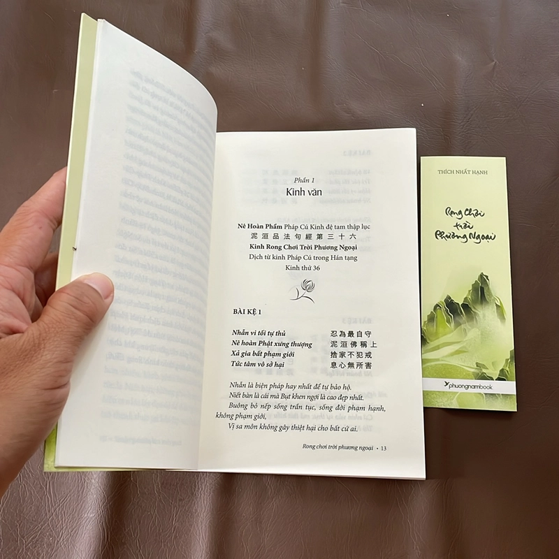 II Tựa sách: Rong Chơi Trời Phương Ngoại - Thích Nhất Hạnh - 2020 523400