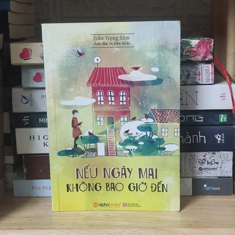 Nếu Ngày Mai Không Bao Giờ Đến 332530
