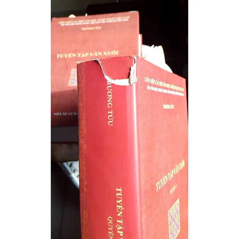 TRƯƠNG TỬU TUYỂN TẬP VĂN XUÔI (BỘ 2 TẬP) 762461