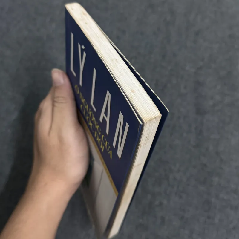 Ở ngưỡng cửa cuộc đời - Lý Lan 873261