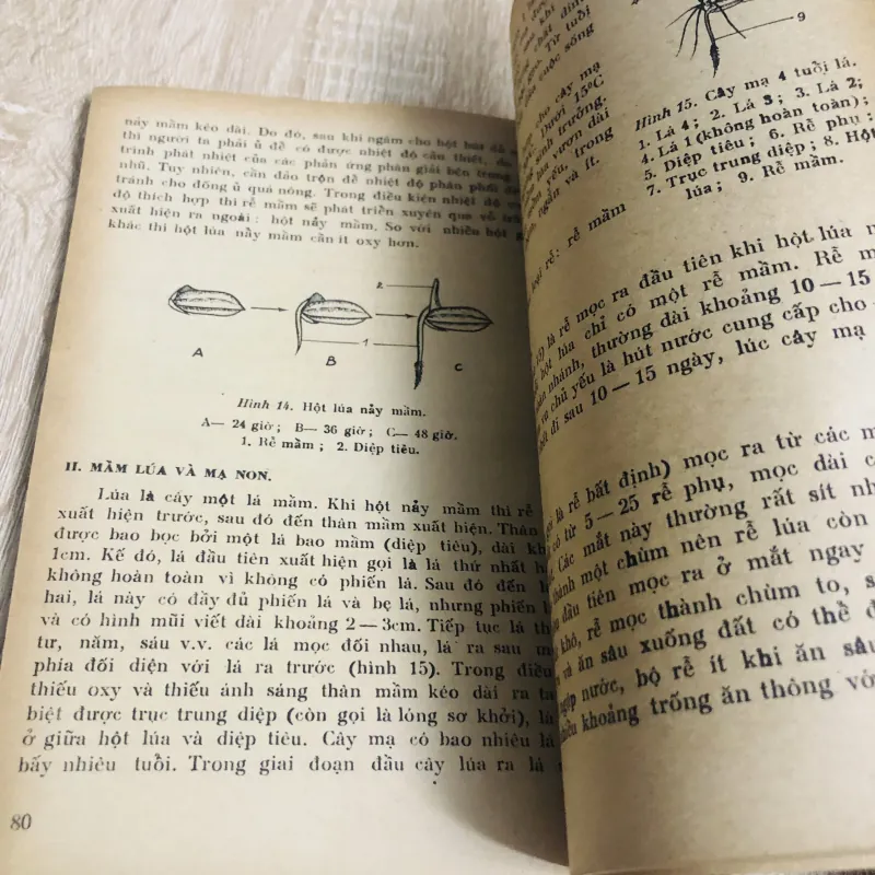 ĐẤT VÀ CÂY TRỒNG 956931