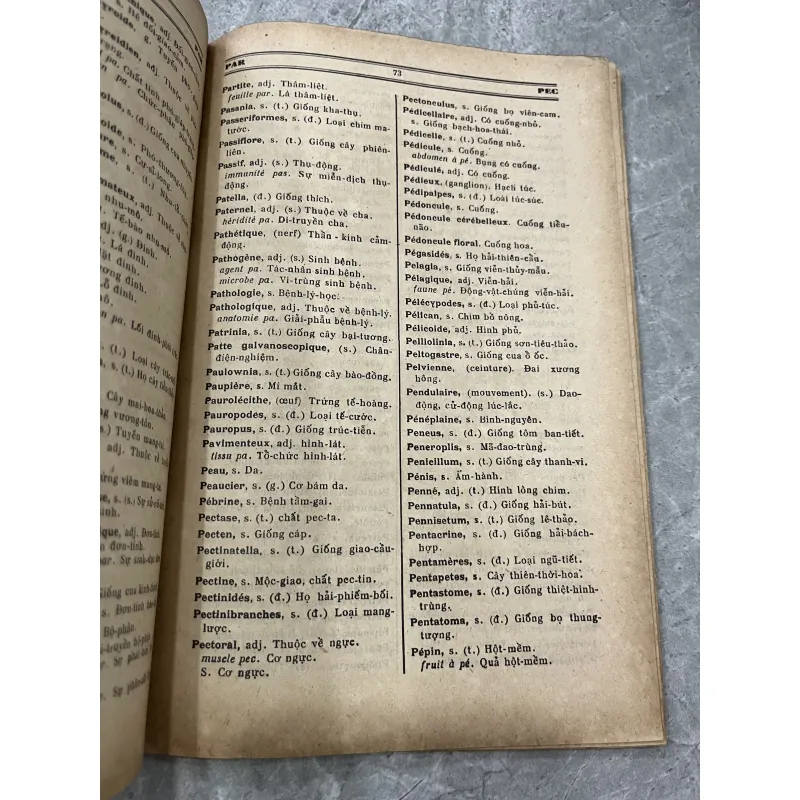 DANH TỪ KHOA HỌC - ĐÀO VĂN TIẾN 753659