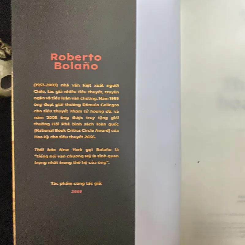 Thám tử hoang dã-Roberto Bolaño.   1030599