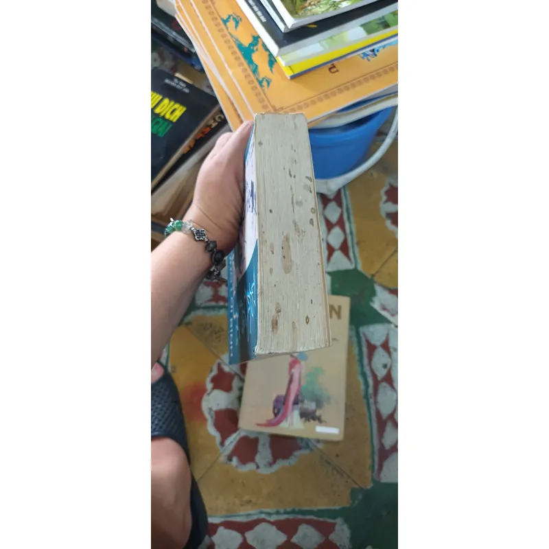 Truyện Kiều Những Lời Bình 559703