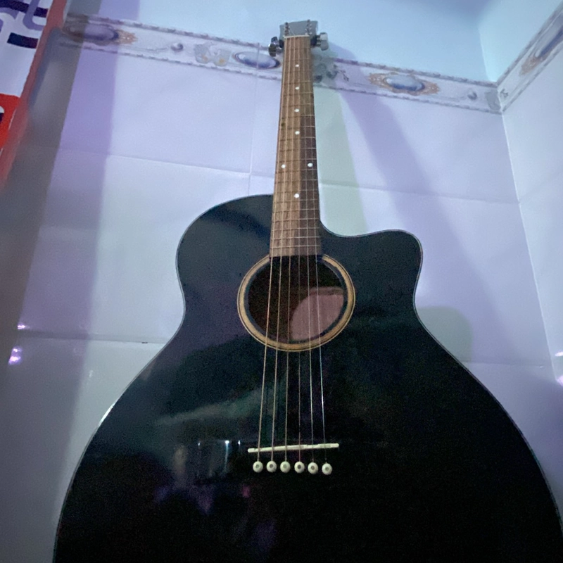 Gujtar acoustic  446414