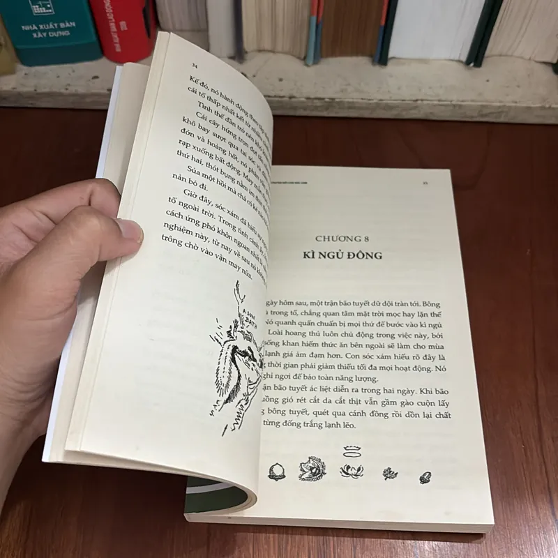 Văn Học Thiếu Nhi: Bông _ Chuyện Đời Con Sóc Xám - Ernest Thompson Seton - ROGER VU (Dịch) 709239