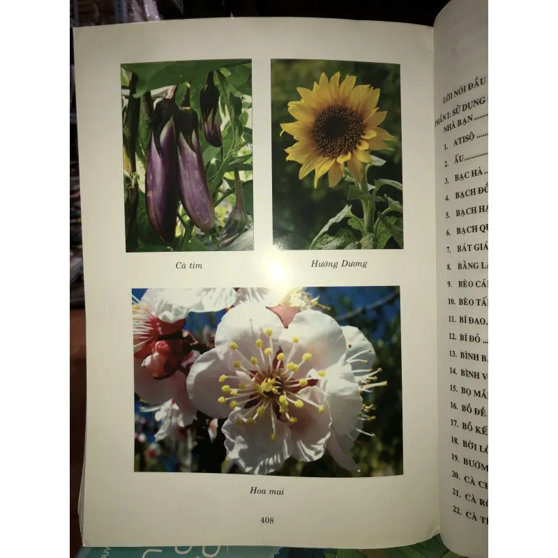 Cẩm nang chăm sóc sức khỏe cho mọi nhà - Hướng dẫn sử dụng cây thuốc và vị thuốc Việt Nam  749051