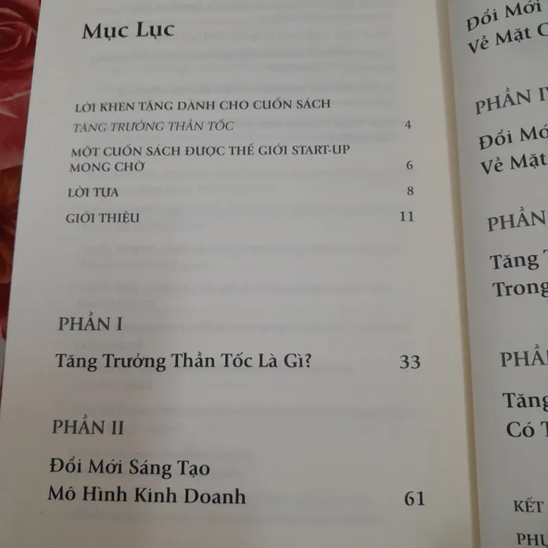 Tăng trưởng Thần tốc- Blitzscaling. Tg Reid Hoffman & Chris Yeh 763488