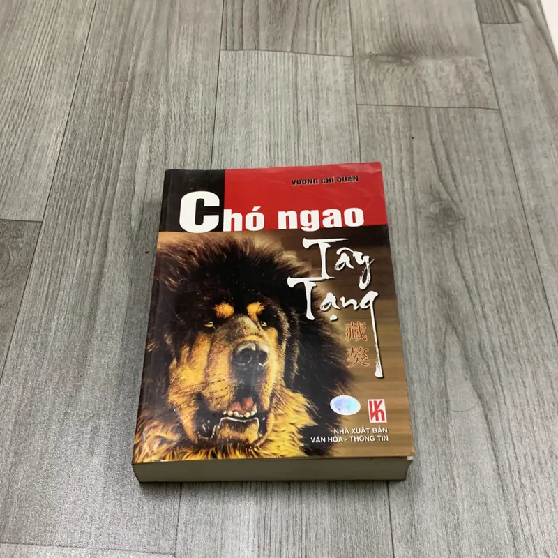 Chó ngao tây tạng - vương chí quân. 2a2 733377