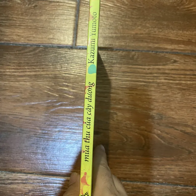Mùa thu của cây dương - Kazumi Yumoto (9) 1030791