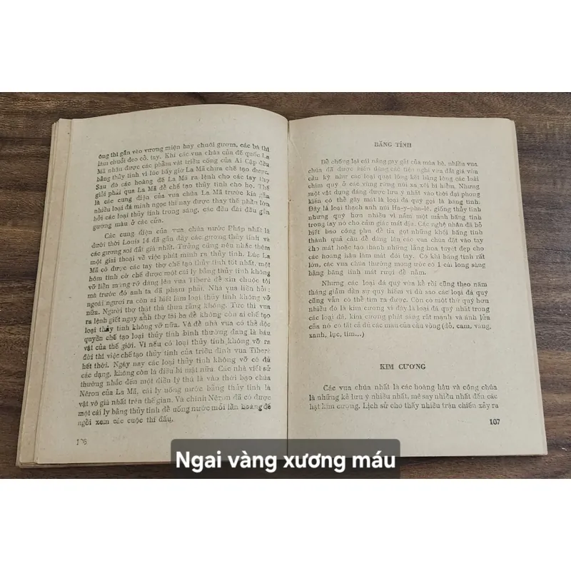 NGAI VÀNG XƯƠNG MÁU - Tủ sách sông Hương 1988 706947